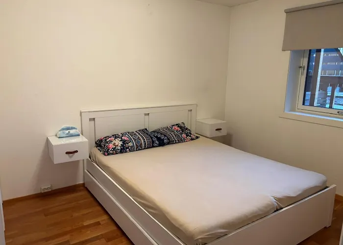 Comfortable In Apartament